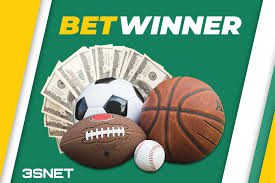BetWinner Platform Your Gateway to Online Betting Success