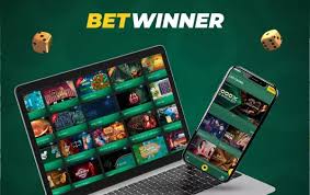 BetWinner Platform Your Gateway to Online Betting Success
